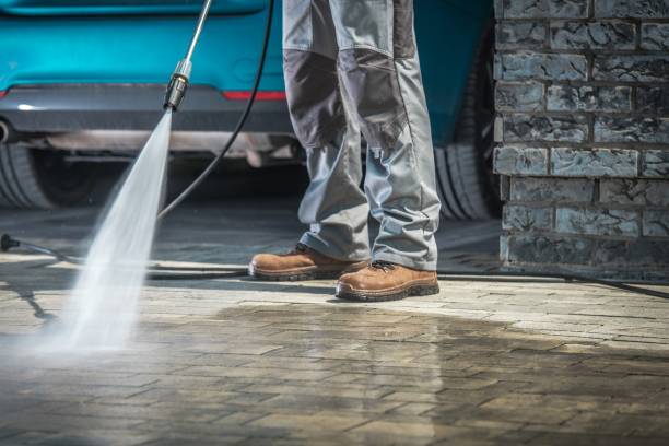Best Soft Washing  in Van Buren, AR