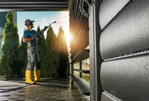 Best Gutter Cleaning  in Van Buren, AR